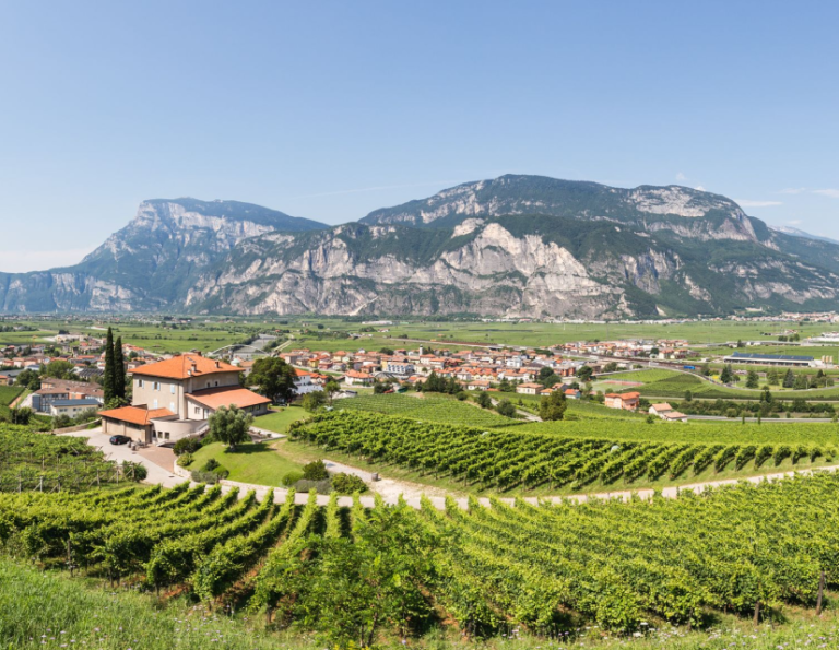 trento-doc-carosello-3